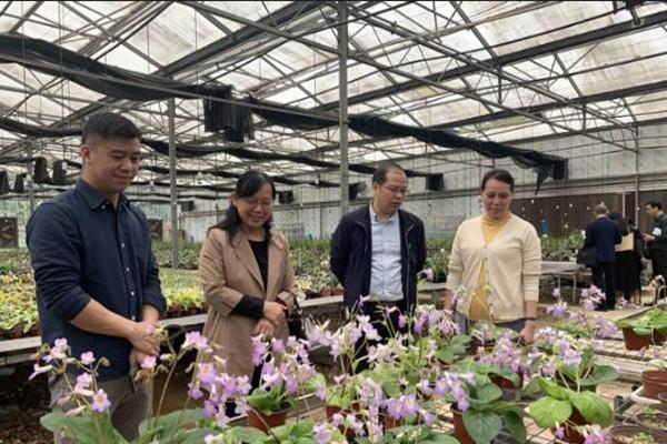 考察调研广西农业科学院花卉所观赏植物研发与推广中心